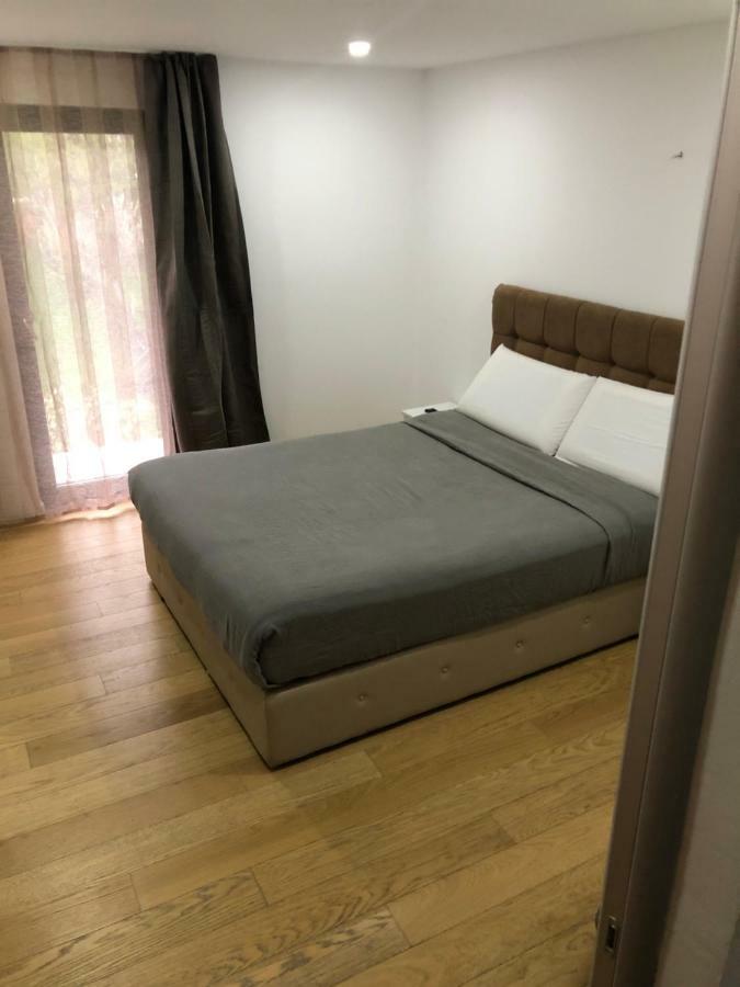 Pensiunea Exedra Hotel Borsa  Ngoại thất bức ảnh
